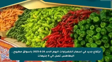 ارتفاع جديد في أسعار الخضراوات اليوم الأحد 24-8-2025 بأسواق مطروح.. البطاطس تصل إلى 8 جنيهات